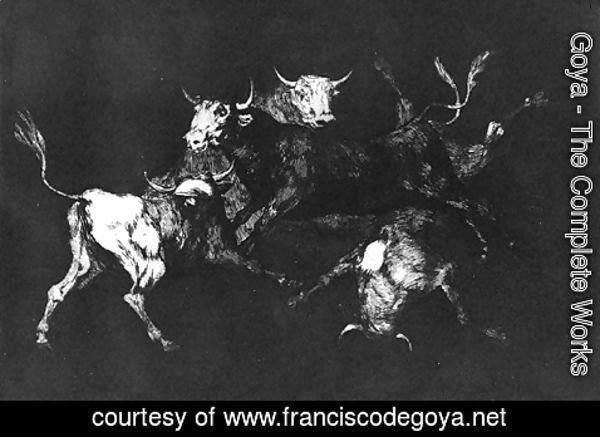 Goya - Foolishness of the Fools