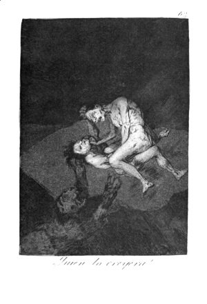 Goya - Who could believe it