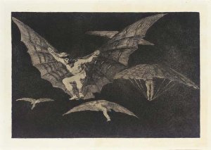 Qual la descanonan, Plate 21, from Los Caprichos