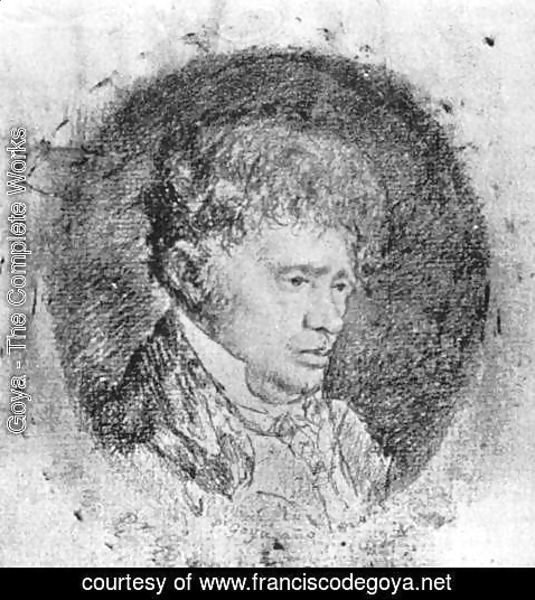 Goya - Portrait of Javier Goya, the Artist's Son