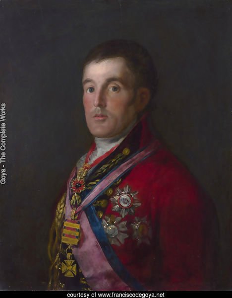 Portrait of the Duke of Wellington 2