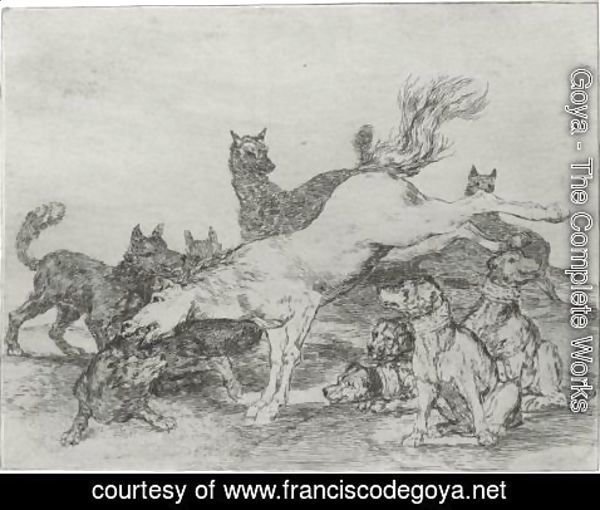 Goya - No Se Convienen