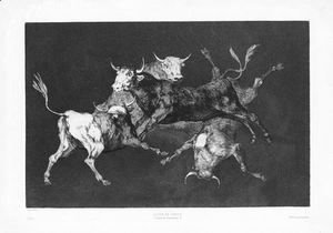 Goya - Disparate De Tontos