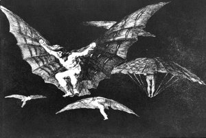 Goya - A way of flying